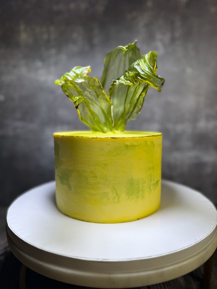 Custom cake prepared for careful delivery