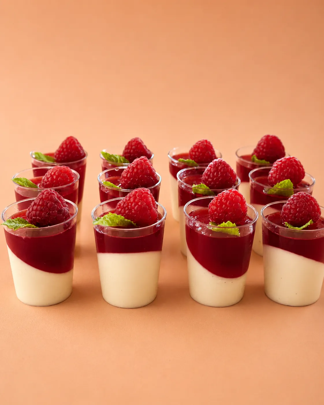 Mini Shots - Panna Cotta